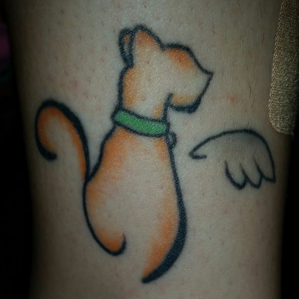 Orange cat with green collar tattoo
