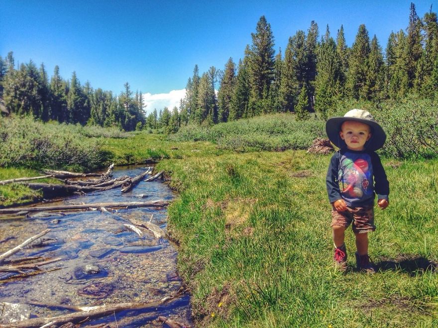Before Turning 2 Years Old, Bodhi Hiked More Than 483 Km With His Parents