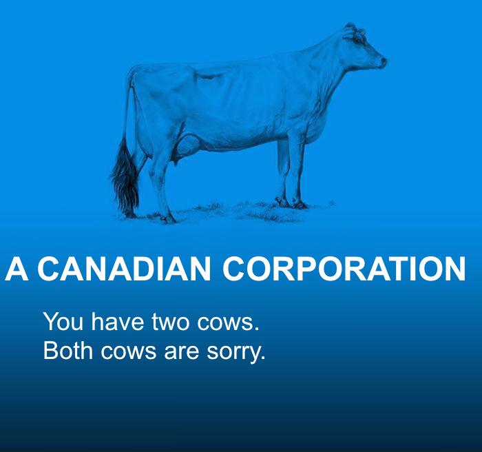 A Canadian Corporation