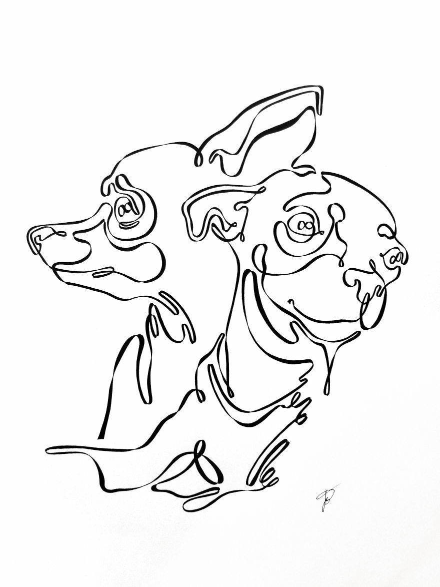 I Drew These Illustrations Using One Continuous Line