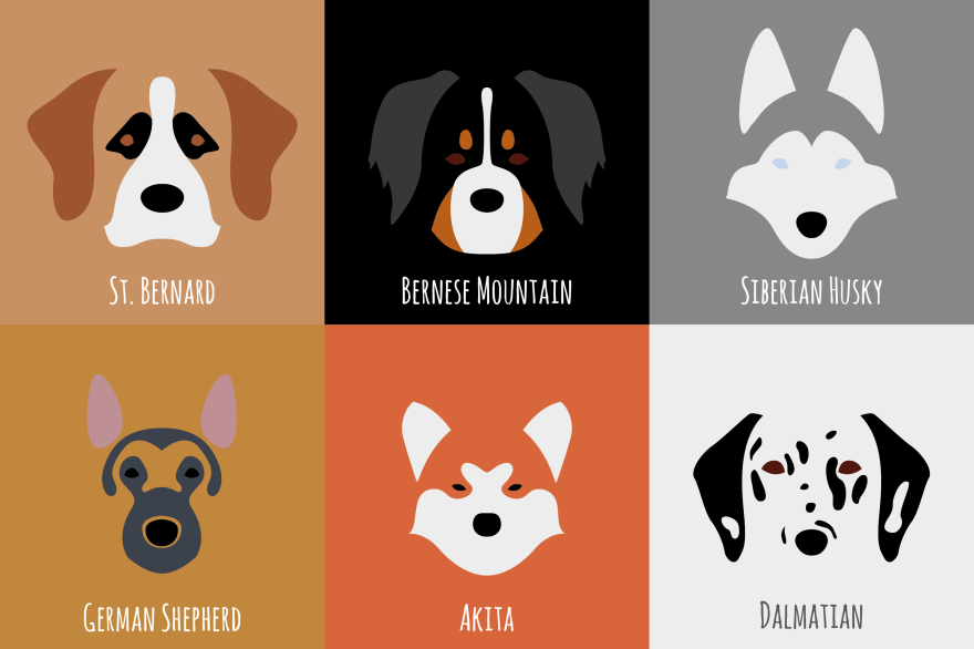 I Make Minimalist Illustrations Of Various Dog Breeds