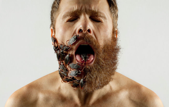 Artist Completes His Half-shaved Hipster Beard With Random Objects