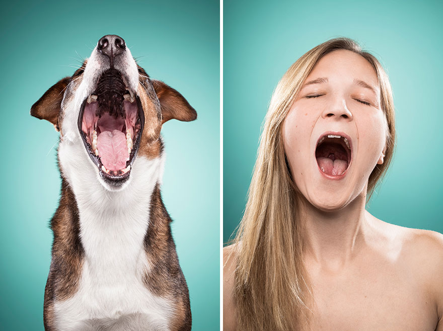 Like Owner, Like Dog: I Capture Dog Owners Mimicking Their Best Friends
