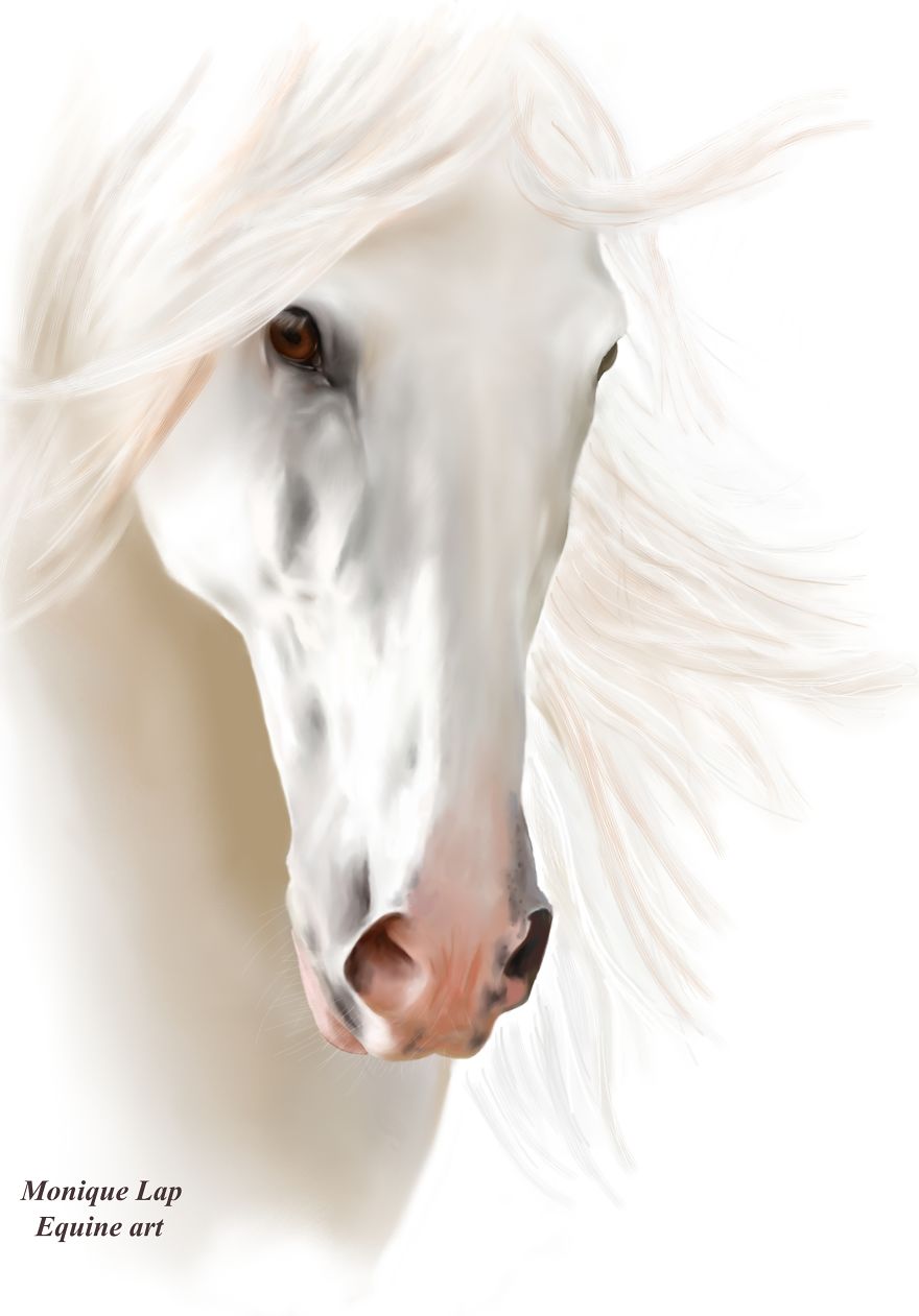 I Create Digital Horse Paintings