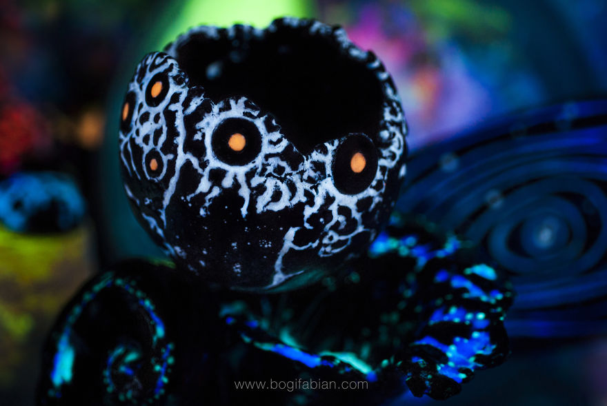 Glowing-In-Dark Ceramics Created By Hungarian Artist Bogi Fabian