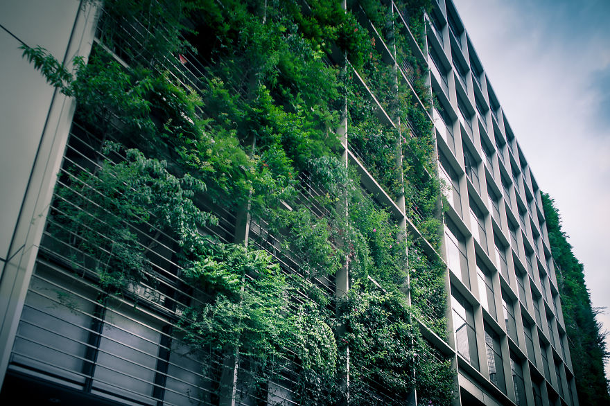 Japan Secret Urban Farming In The Heart Of Tokyo