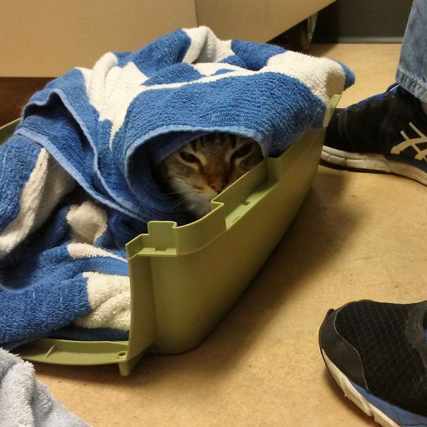 Is It Safe Under This Towel?