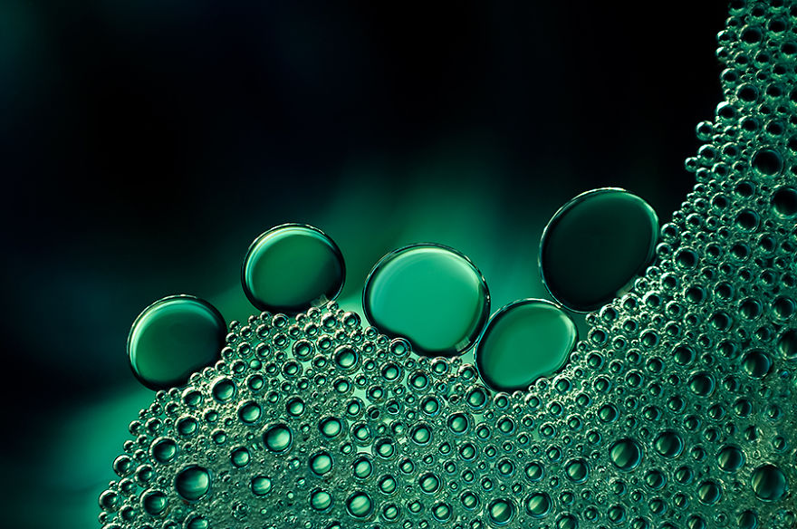 Mesmerising Beauty Of Droplets Captured Through My Macro Lens