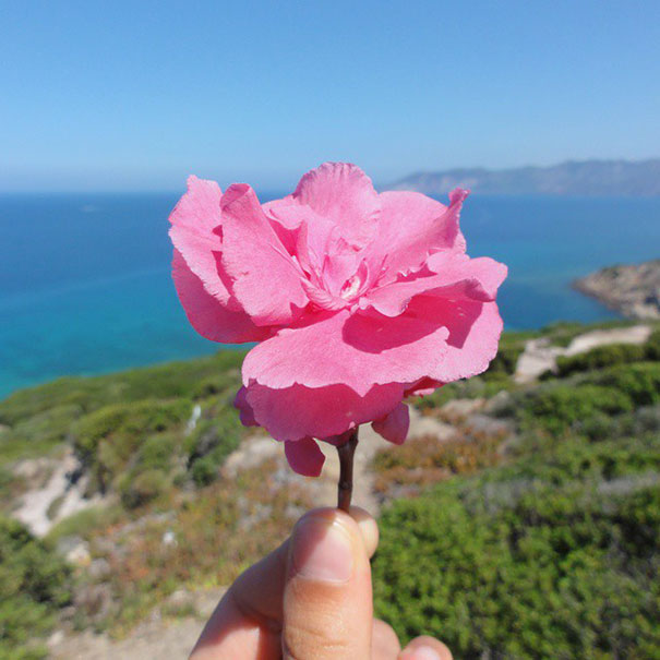 I Document The Scents Of Sardinia To Remember The Smells Of My Land
