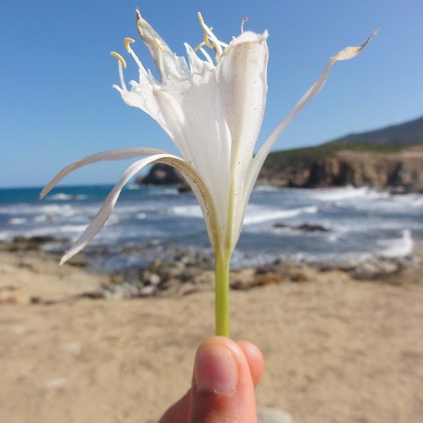 I Document The Scents Of Sardinia To Remember The Smells Of My Land