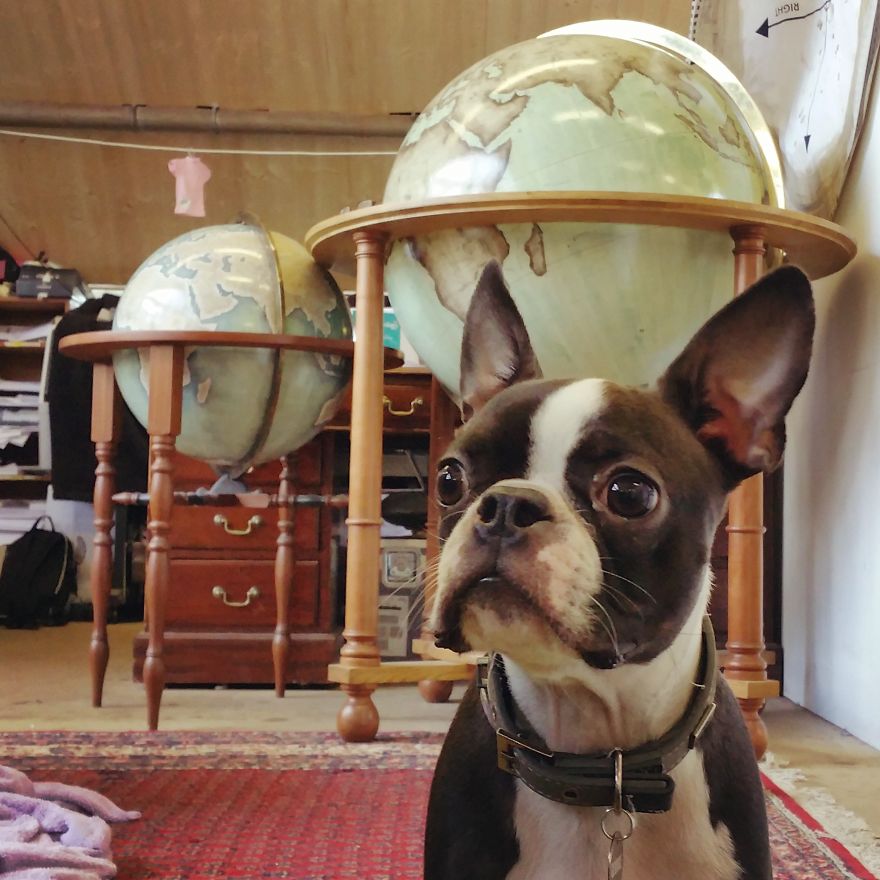 One Of The World’s Last Remaining Globe-Makers That Use The Ancient Art Of Making Globes By Hand