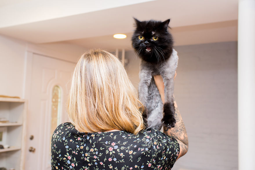 We Travel Around The U.s. Photographing Celebrity Cats And Their Caretakers