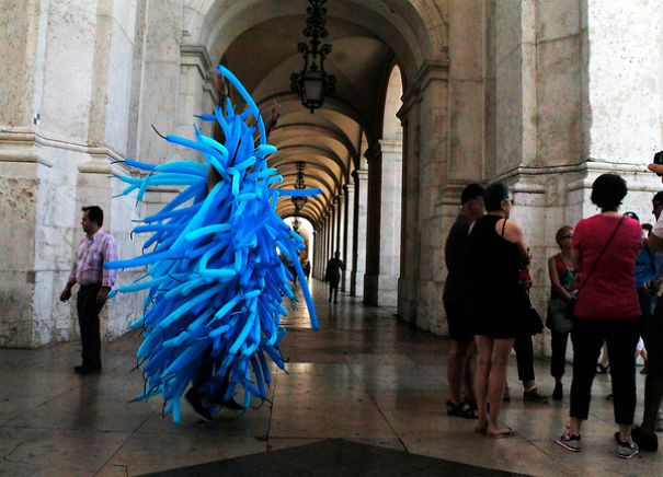 Unexpected Sea Creature Walks Into The City Of Lisbon