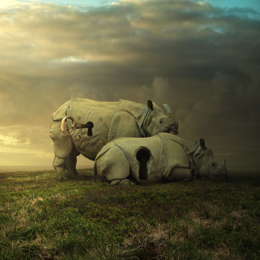 I Create Surreal Worlds For Animals To Live In Without Cruelty