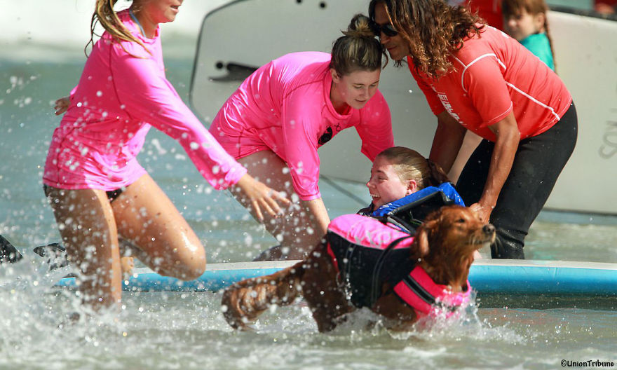 Two Sisters With Same Terminal Illness Catch Waves With My Surfing Dog
