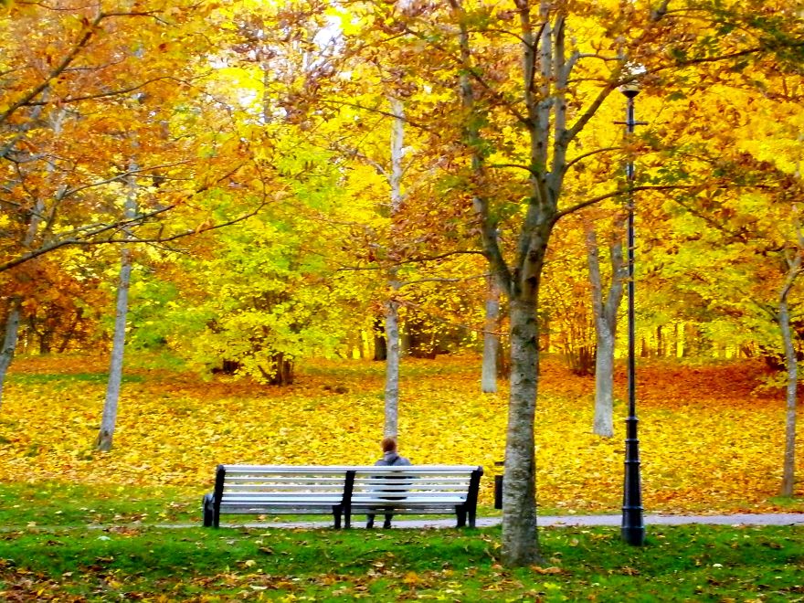 Autumn Gold