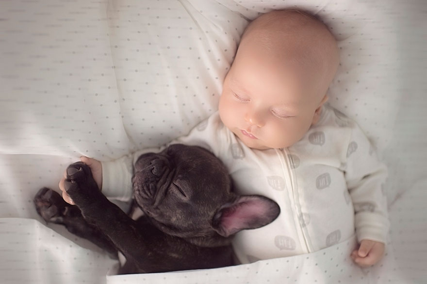 Baby & Bulldog Born On Same Day Think They're Brothers And Do Everything Together