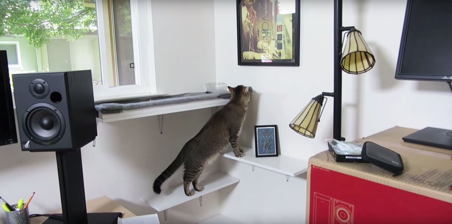 Guy Builds Cat Feeding Machine That Requires His Kitty To Hunt For Food