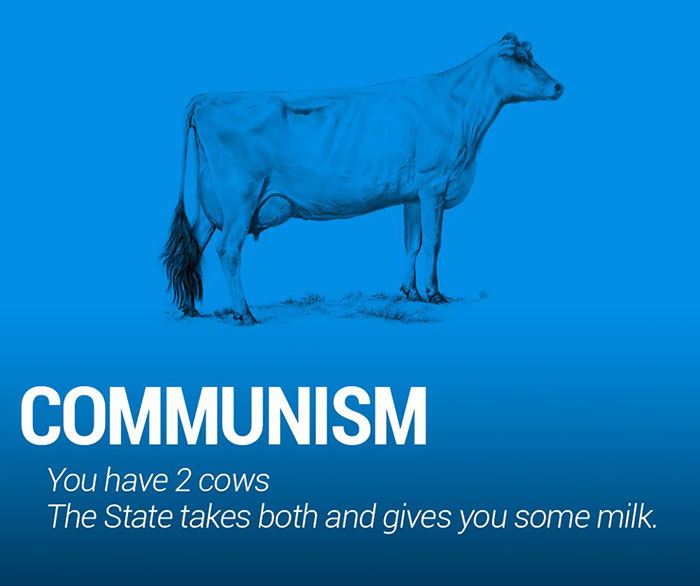 Two Cows Explain Economics Better Than Any Class