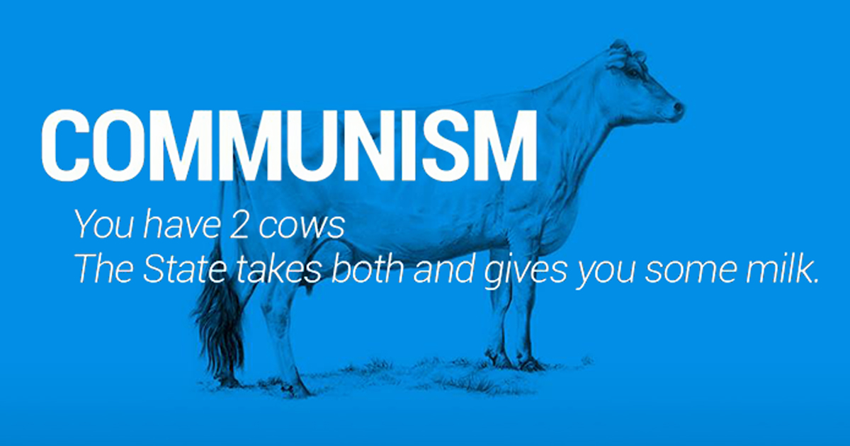 Two Cows Explain Economics Better Than Any Class | Bored Panda