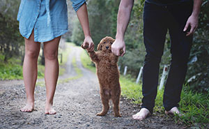 Tired Of Being Asked About Babies, This Couple Did A Newborn Photoshoot With Their Dog
