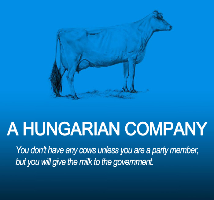 A Hungarian Company