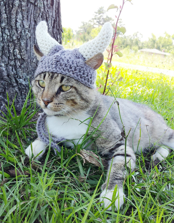Viking Cat Helmet