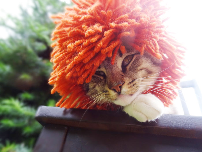 Lion Hat