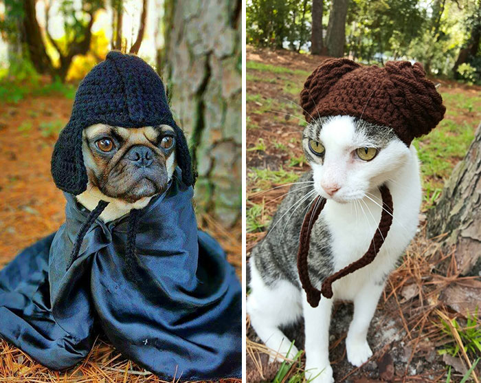 Artist Crochets Pet Hats And They’re Purrfect