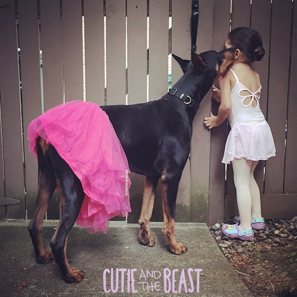 cutie-and-the-beast-dog-girl-seana-doberman-42