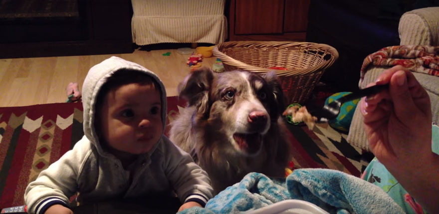 Mom Offers Baby A Treat If He Says 'Mama,' Dog Says It First
