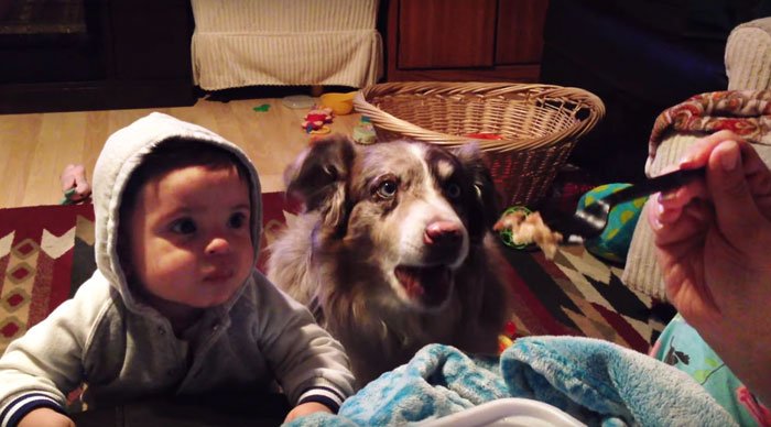 Mom Offers Baby A Treat If He Says ‘Mama,’ Dog Says It First