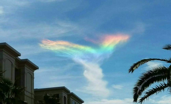 Rare “Fire Rainbow” Appears In Sky Over South Carolina