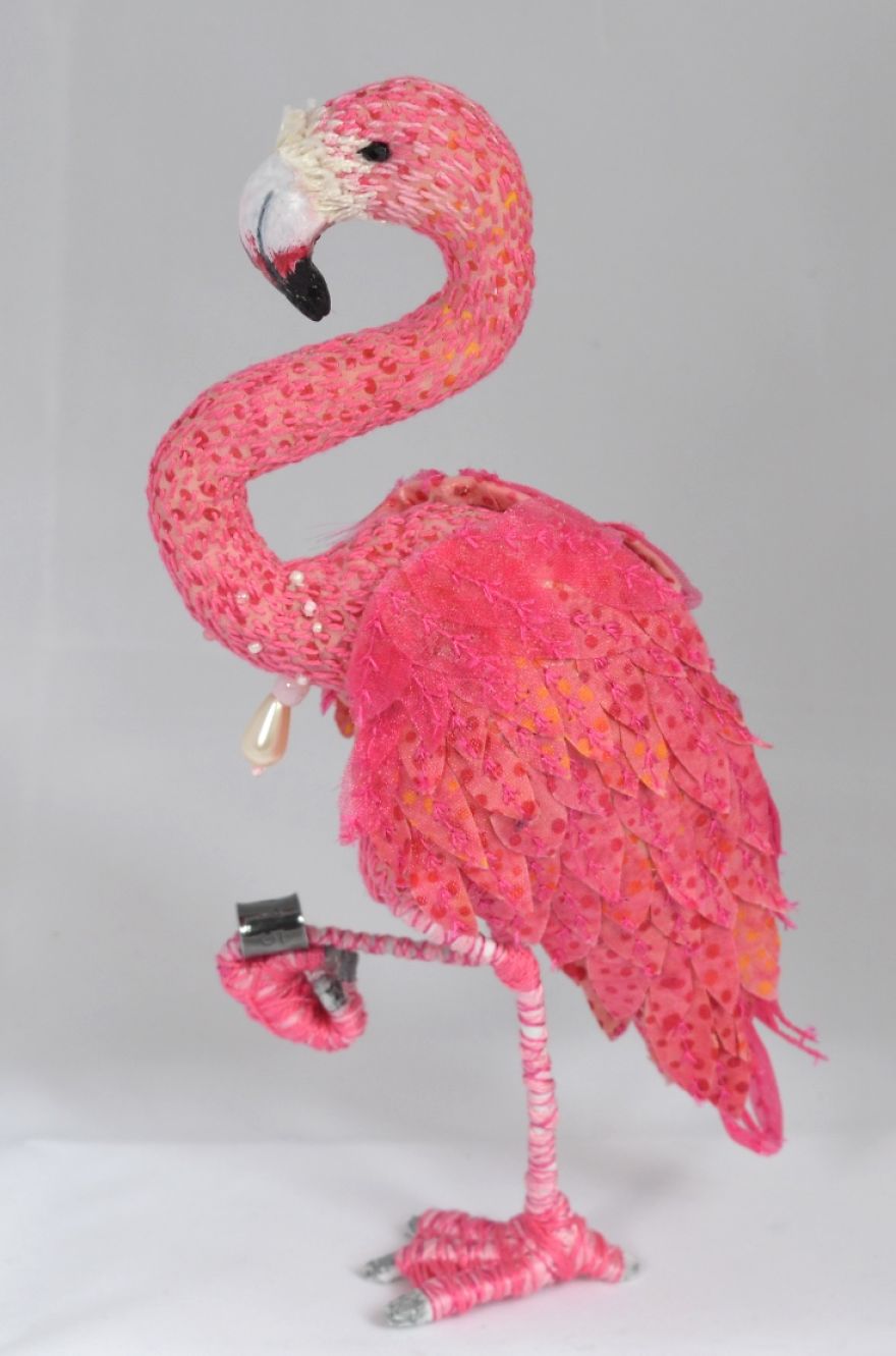 Pretty Flamingo...