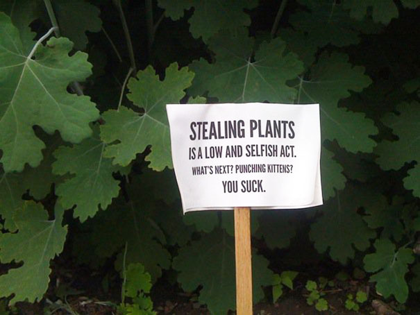 Stealing Plants