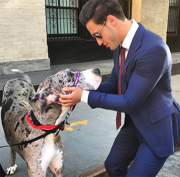 This Hot Doctor And Husky Duo Are Taking The Internet By Storm