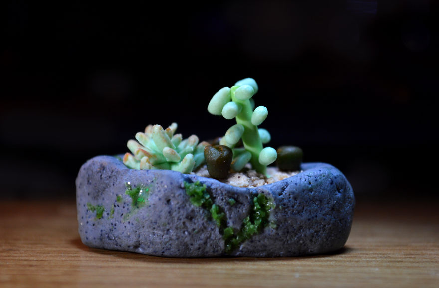 Realistic Succulents From Polymer Clay (video)