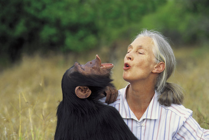 Jane Goodall, Leading Primatologist And Conservationalist