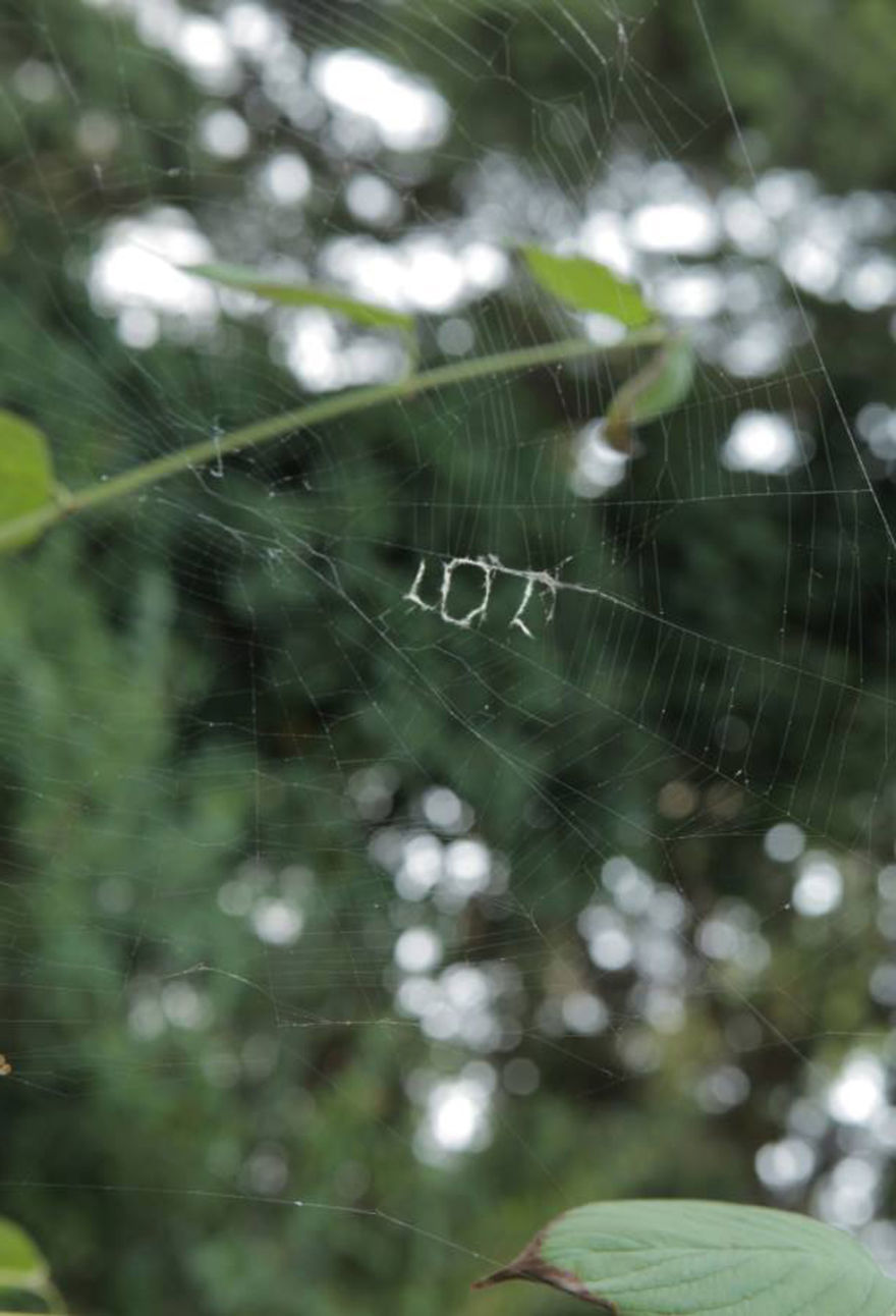 After A Rough Day, My Friend Found This Written On A Spider Web