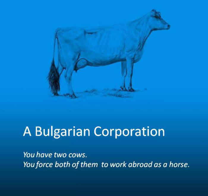 A Bulgarian Corporation