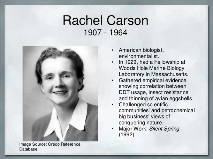 Rachl Carson. Author Of "silent Spring" (1962) And Mother Of The Enviromental Movement