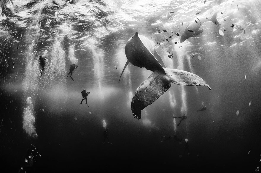 The Winners Of The 2015 National Geographic Traveler Photo Contest