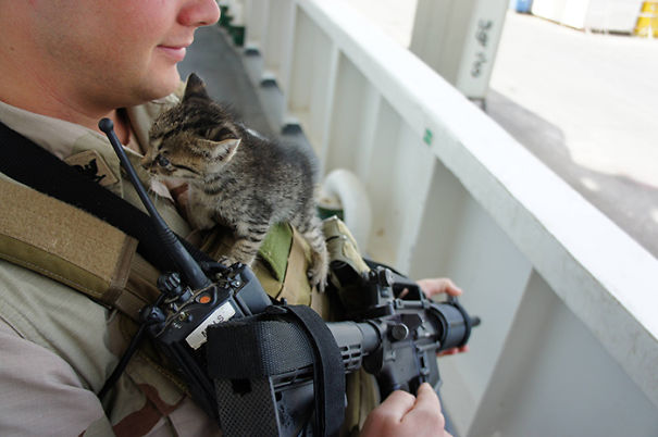 Soldier With A Kitten