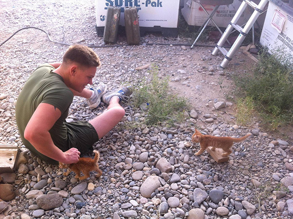 Found These Kittens In Afghanistan