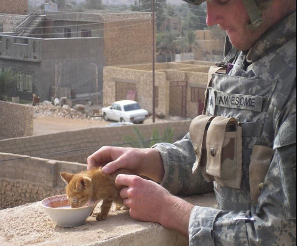 Private Awesome Is Feeding A Kitten