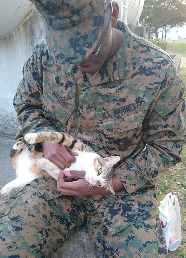 Met This Cutie Outside The Barracks Today