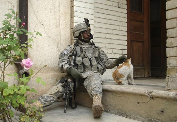 U.S. Soldier Strokes A Cat