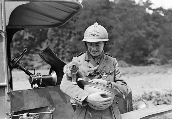 Soldier With A Cat