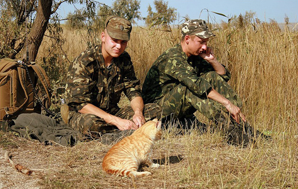 Soldiers With A Cat