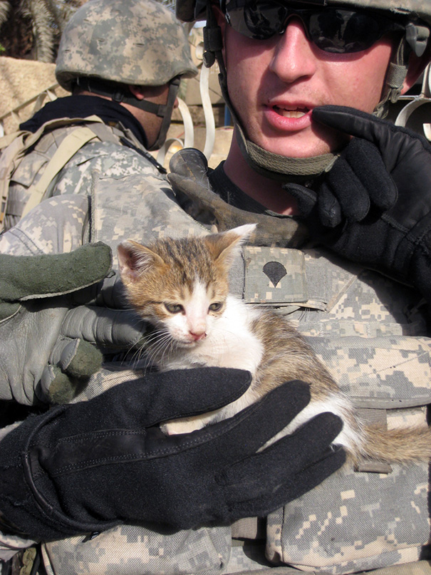 Soldier And A Kitten
